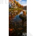 Tło fotograficzne „Jesienny domek nad jeziorem z liskiem” | J_273 Tło fotograficzne „Jesienny domek nad jeziorem z liskiem” | J_273